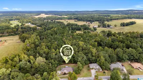 146 County Road 80, Clanton, AL 35045 photo 52
