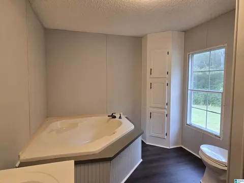 89 Pine Tree Dr, Locust Fork, AL 35097 photo 20