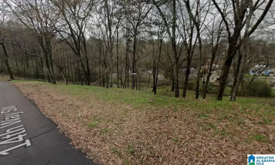  2007 14th Way SW #NA, Birmingham, AL 35211 photo 1