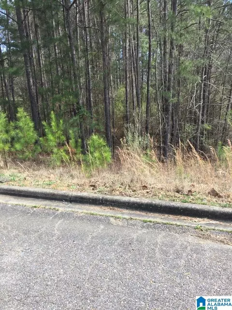 6605 Stone Point Dr #33, Bessemer, AL 35022