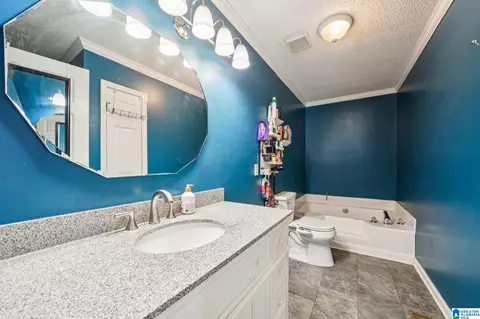 5388 Memory Ln, Mount Olive, AL 35117 photo 21