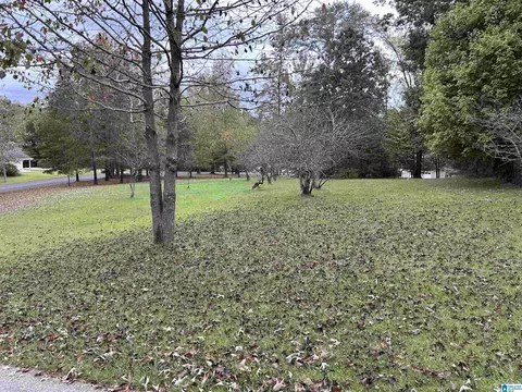 Exterior - 506 Quarry Rd, Glencoe, AL 35905 photo 11 of 12