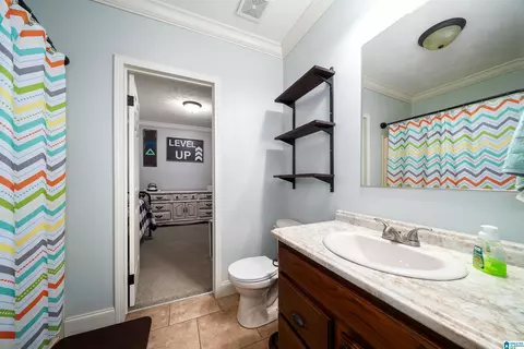 826 County Line Rd, Trafford, AL 35172 photo 24