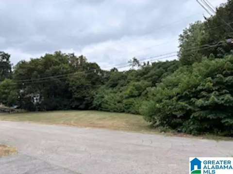 1120 E Norman St #000, Birmingham, AL 35217