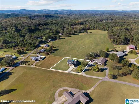 View/Area - 178 Jerry Marsh Rd, Locust Fork, AL 35097 photo 2 of 3