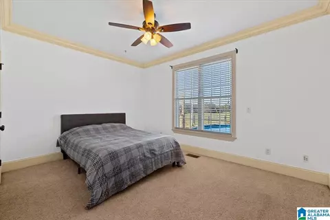 Bedroom - 178 Jerry Marsh Rd, Locust Fork, AL 35097 photo 4 of 6