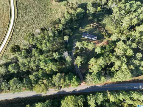 3519 County Road 95, Ranburne, AL 36273 photo 9