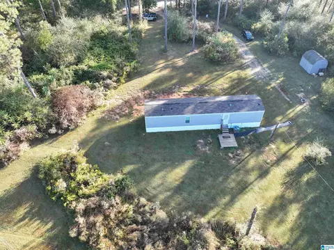 3519 County Road 95, Ranburne, AL 36273 photo 1