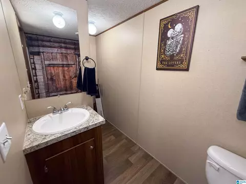 3519 County Road 95, Ranburne, AL 36273 photo 27