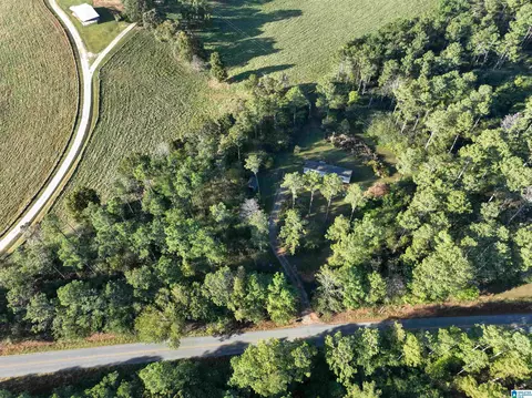 3519 County Road 95, Ranburne, AL 36273 photo 10