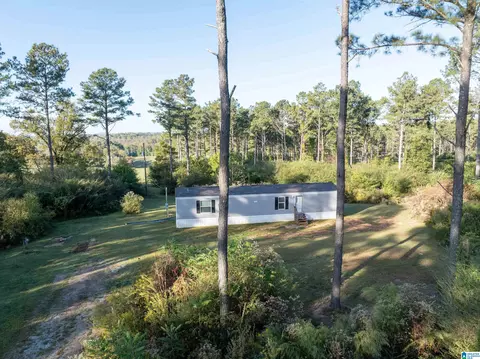 3519 County Road 95, Ranburne, AL 36273 photo 3