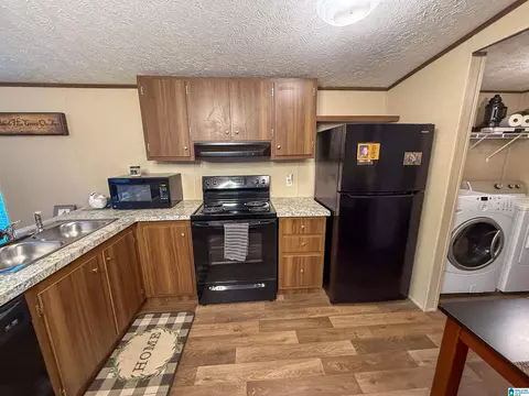3519 County Road 95, Ranburne, AL 36273 photo 14