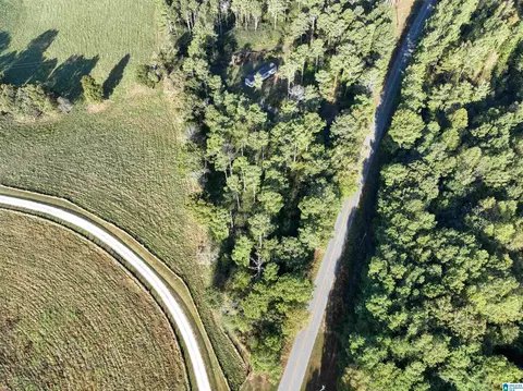 3519 County Road 95, Ranburne, AL 36273 photo 11