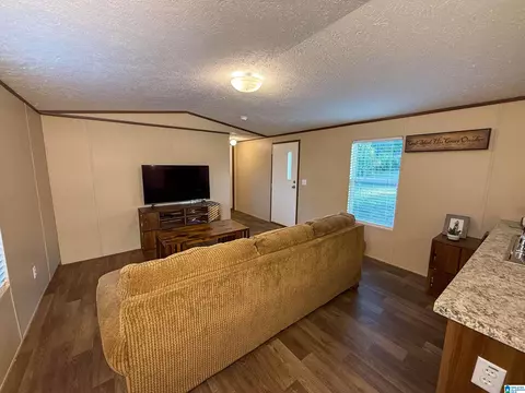 3519 County Road 95, Ranburne, AL 36273 photo 22