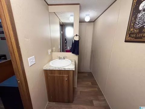 3519 County Road 95, Ranburne, AL 36273 photo 32