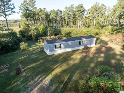 3519 County Road 95, Ranburne, AL 36273 photo 4