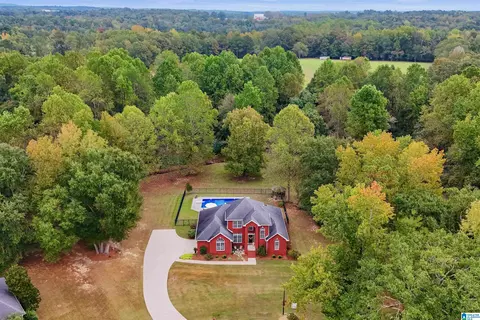 217 Buck Cir, Clanton, AL 35045 photo 2