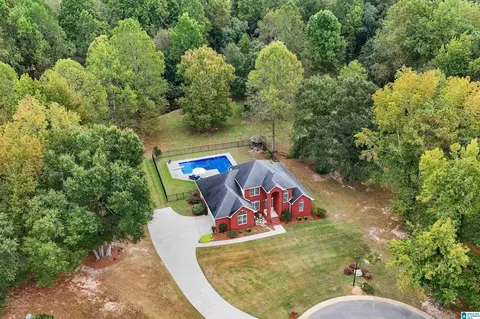 217 Buck Cir, Clanton, AL 35045 photo 3