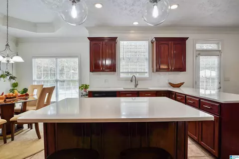 217 Buck Cir, Clanton, AL 35045 photo 42
