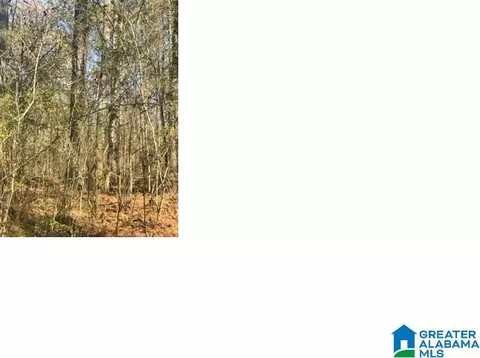aepean way, Alpine, AL 35014