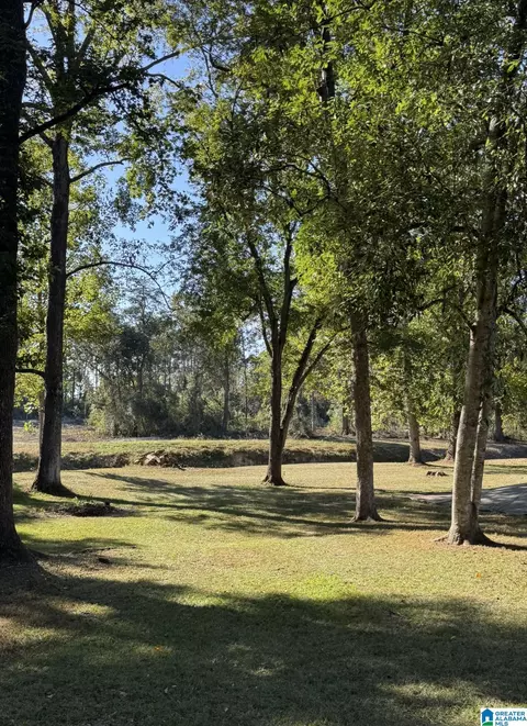 Other - 707 3rd St N, Clanton, AL 35045 photo 2 of 2