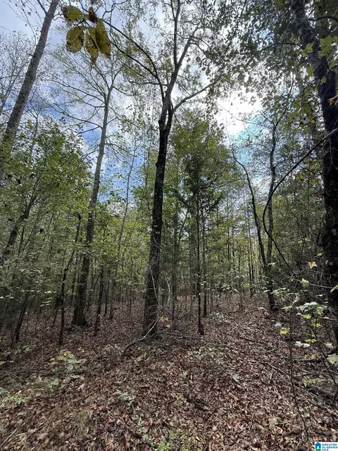 0 Mudd St #1, Lincoln, AL 35096