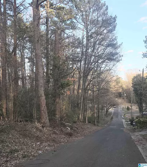 107 Chapel Dr #1, Bessemer, AL 35023