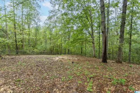 629 Ridgewood Dr, Remlap, AL 35133 photo 3
