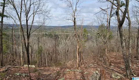 438 Stonegate Dr #64 & 63, Birmingham, AL 35242