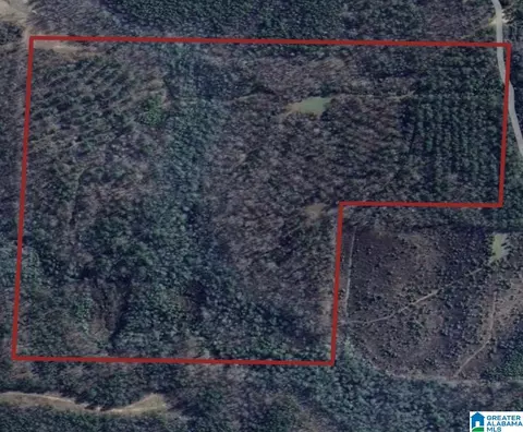 0 Jimmy Brown Rd #0, Hamilton, AL 35570