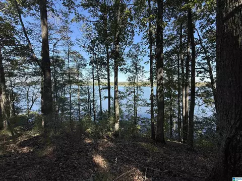 billingsley drive LOT 37, Sylacauga, AL 35044