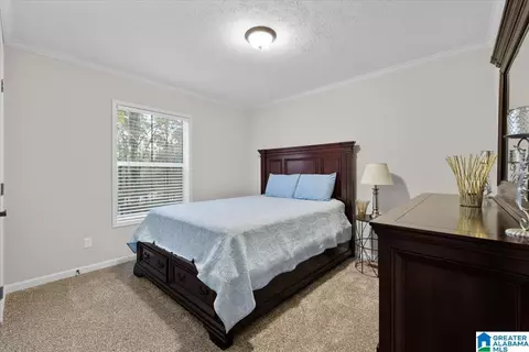 3381 Pine Mountain Rd, Remlap, AL 35133 photo 11