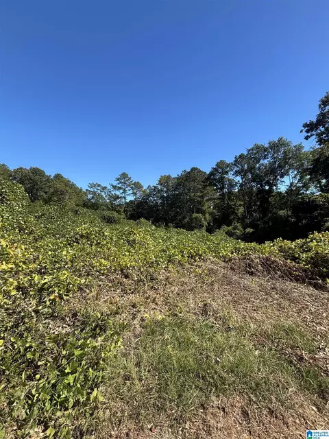 0 Allred St #44, Oxford, AL 36203