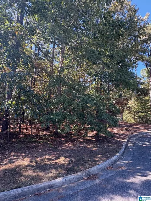339 Alta Vista Dr #27, Chelsea, AL 35043