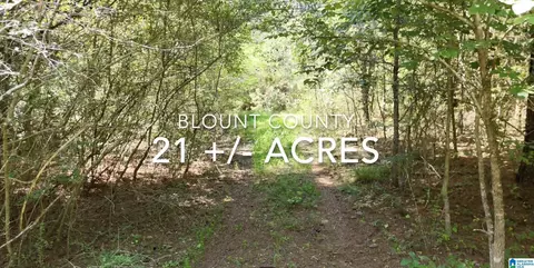 100 Mccoy Mountain Rd #1, Hayden, AL 35079