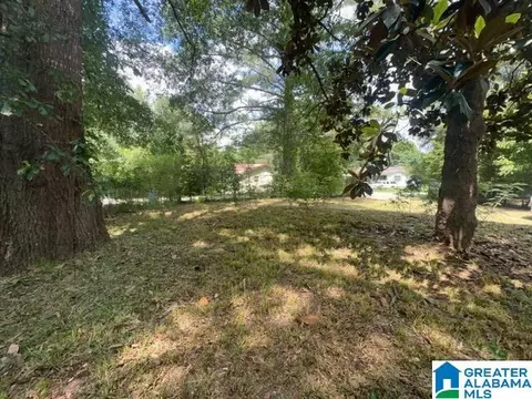 148 Willow Ln, Trafford, AL 35172 photo 5