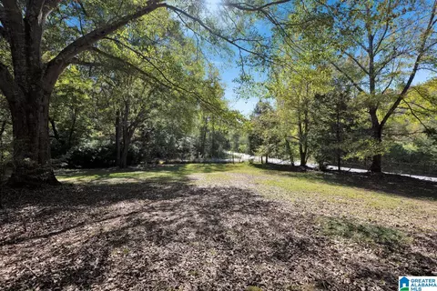 Other - 1366 Red Valley Rd, Remlap, AL 35133 photo 3 of 17