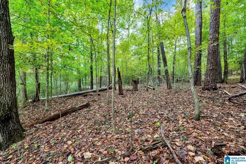 Other - 5113 Sutherland Rd, Mount Olive, AL 35117 photo 6 of 6