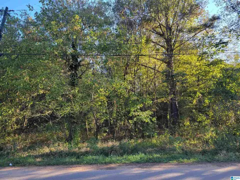 304 Pine St SW #0.24.000, Bessemer, AL 35022