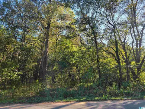 308 Pine St SW #024.001, Bessemer, AL 35022