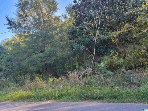 312 Pine St SW #024.002, Bessemer, AL 35022