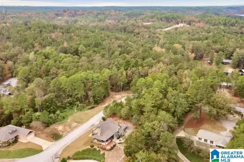 47 County Road 1024, Clanton, AL 35046 photo 42