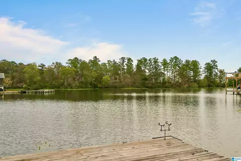 47 County Road 1024, Clanton, AL 35046 photo 8