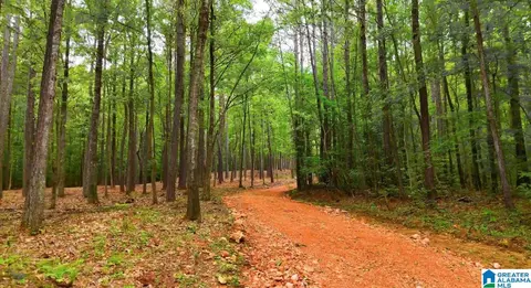 399 Magnolia Ln #1, Vandiver, AL 35176