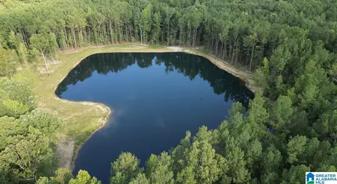 387 Magnolia Ln #1, Vandiver, AL 35176