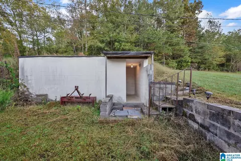 55 Cedar Dr, Oneonta, AL 35121 photo 31