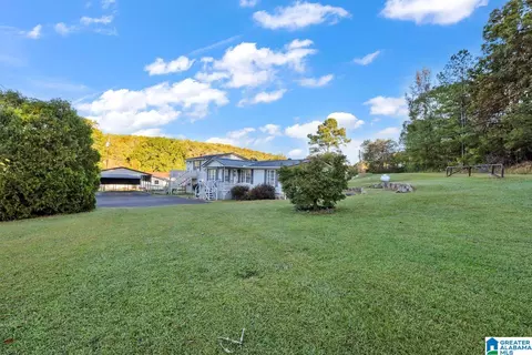 55 Cedar Dr, Oneonta, AL 35121 photo 38