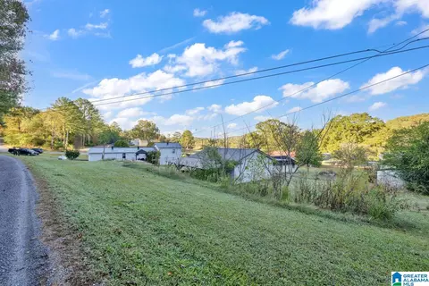 55 Cedar Dr, Oneonta, AL 35121 photo 35