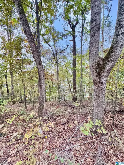 0 Kewanee Ln #13 & 14, Lincoln, AL 35096