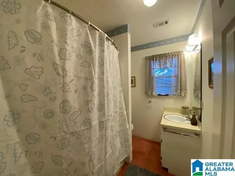 Bath - 136 Lee Lanier Rd, Eclectic, AL 36024 photo 2 of 2